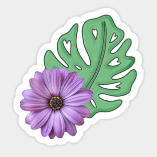 Monstera Leaf and Purple Daisy - Swiss Cheese Leaf Sticker